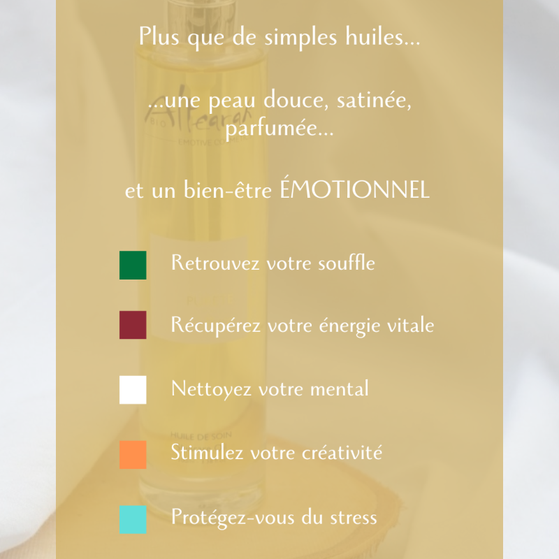 OFFRE DU MOIS